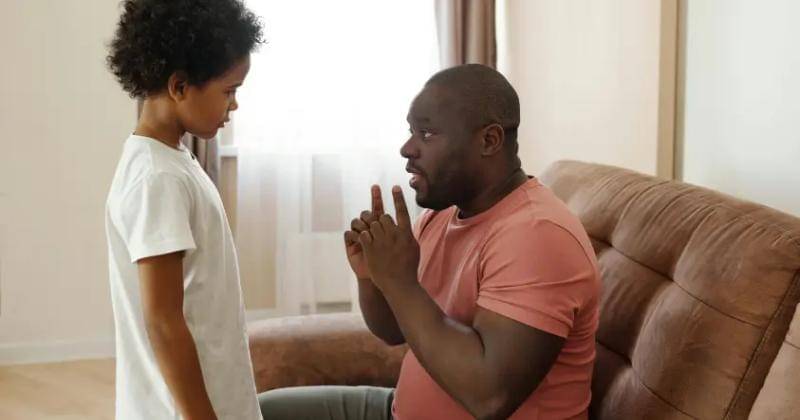 theblogstandardparent.com